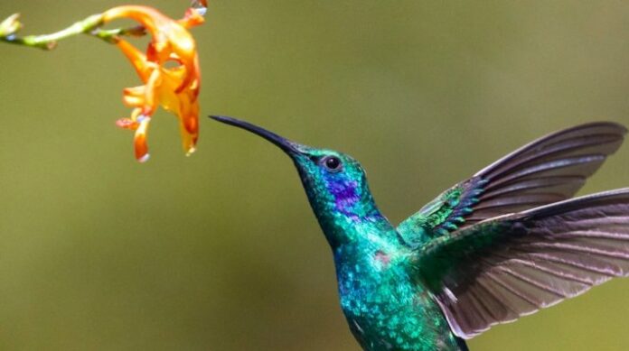 UNEP at the CBD COP16